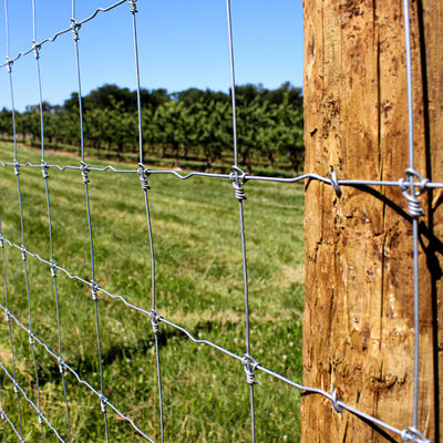 Hochfestes örtlich festgelegtes Knoten-Zaun-Grassland Deer Farm-heißes eingetaucht galvanisiert