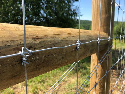 Scharnier-Gelenk-Vieh des Rotwild-verdrahtet örtlich festgelegtes Knoten-Zaun-1.2m Mesh Field Fence